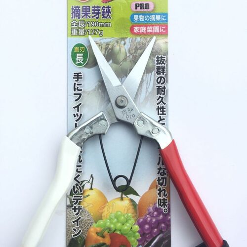 包邮台湾进口冈弘318修枝剪芽剪布剪盆景剪摘果工具尖剪 盆栽剪刀
