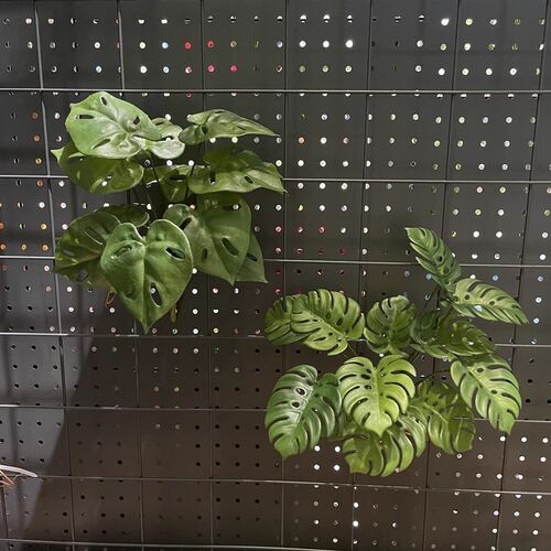 仿真绿植装饰龟背叶春芋塑料假植物绿色仿草花艺造景假小草龟背竹