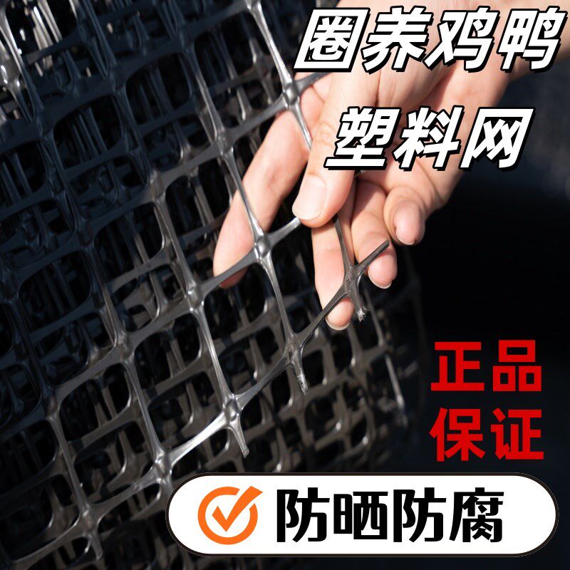 小孔塑料围栏网大棚防鸟育雏防护网养殖鸡鸭鹅漏粪网鱼虾隔离胶网