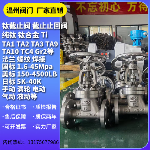 钛合金截止止回阀 钛材 纯钛 钛截止阀 耐海水腐蚀船用钛阀门TA2