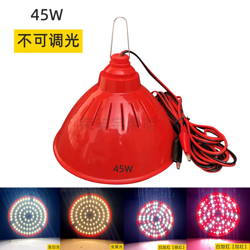 12V水果灯LED生鲜灯 24V48V60V卤菜烧腊熟食灯节能地摊灯红色调光