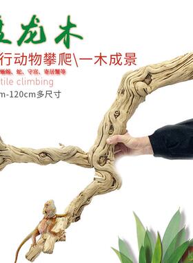 爬宠造景木蛇睫角豹纹守宫箱鬃狮蜥蜴攀爬双冠晒台龙纹枯木树枝根