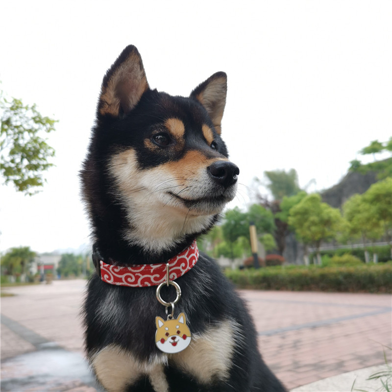 金属狗牌柴犬柯基铭牌身份牌防走失激光刻字合金名牌定做订制包邮