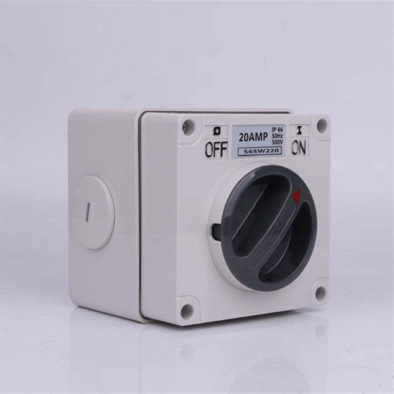 澳标防水开关56SW110/320隔离户外1P2P3P4P5P 10A20A32A40A50A63A