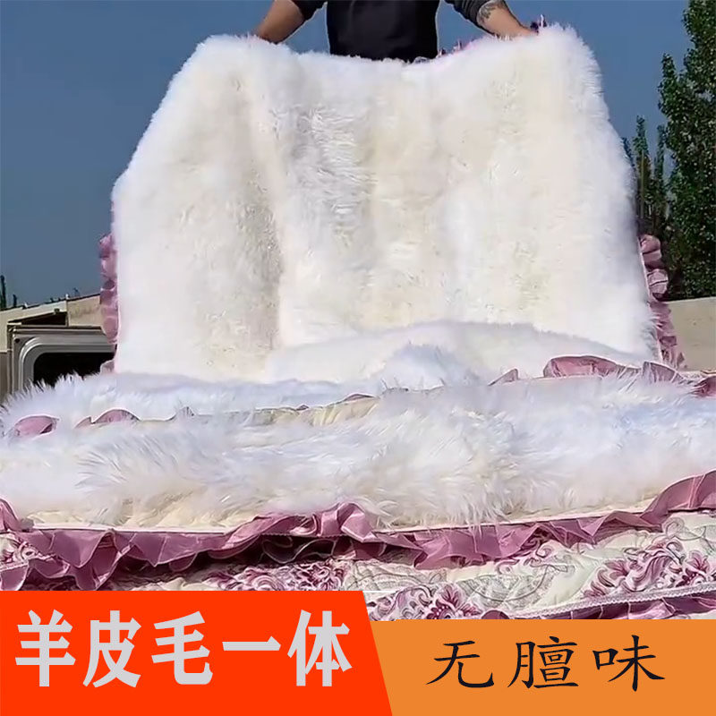 整张羊皮褥子皮毛一体防潮真皮学生宿舍单人羊羔毛床垫双人羊毛垫