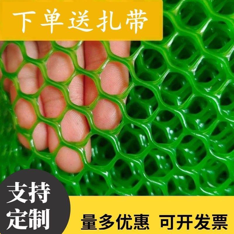 绿色塑料养鸡育雏围栏网阳台防护封窗防坠安全网鸡笼脚垫漏粪平网图片