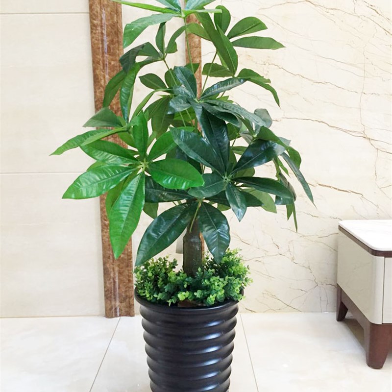 仿真发财树盆栽绿植室内装饰假花客厅假树摆设仿生花塑料植物盆景
