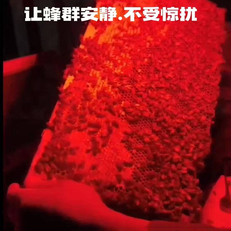 养蜂专用头灯红光白光两用强光灯光线柔零刺激雨天夜晚查蜂诱蜂灯