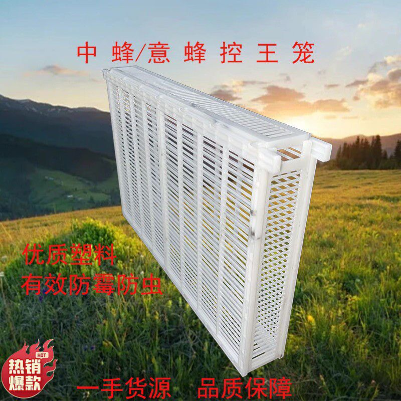 中蜂意蜂王产卵控制器防逃片产卵产子蜜蜂箱单框双框囚王笼隔王器