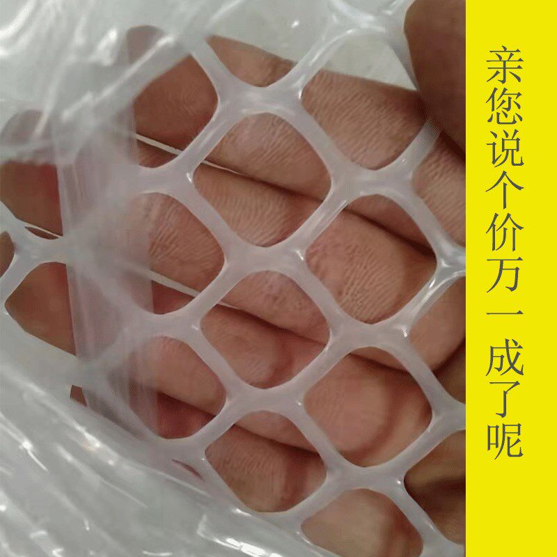 整卷塑料平网育雏网床鸡鸭鹅漏粪网垫脚网养蜂养蚕防护网围养殖网