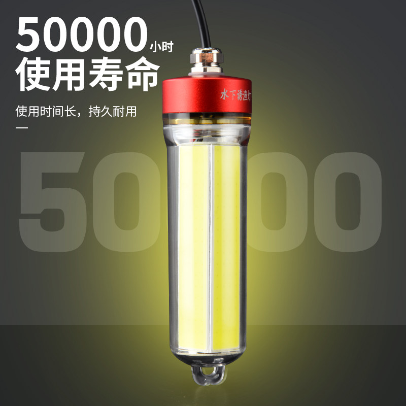 船用双光源诱鱼灯 海钓聚鱼灯5V黄光 IPX8防水 巨鲸品牌夜钓灯具