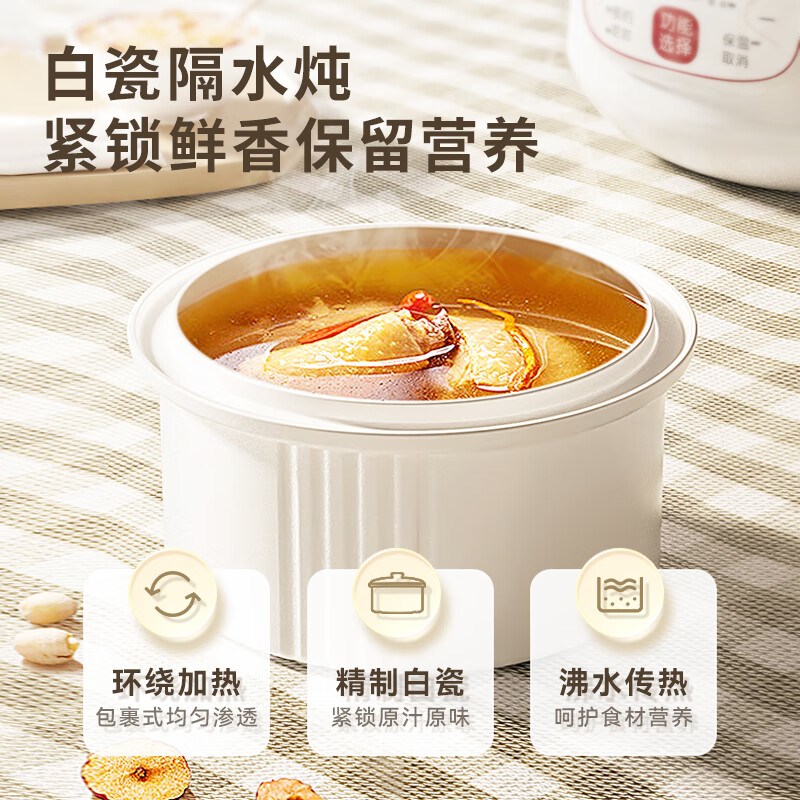 天际不锈钢电炖锅陶瓷全自动煲汤煮粥家用智能隔水炖盅燕窝3人4人