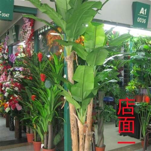 仿真芭蕉树假树室内外落地装饰大型绿植摆放造景植物仿真绿植