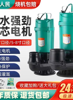 德国进口上海人民潜水泵220V380V清水泵农用灌溉泵家用大流量高扬