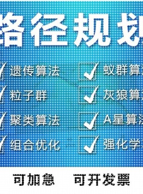 matlab路径规划遗传蚁群蜂群狼群算法代编python强化学习组合优化