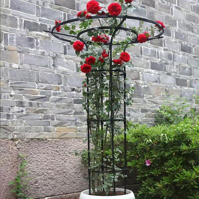 花架爬藤架月季花盆支撑支架柱形架子蓝雪花蟹爪兰藤架固定攀爬杆