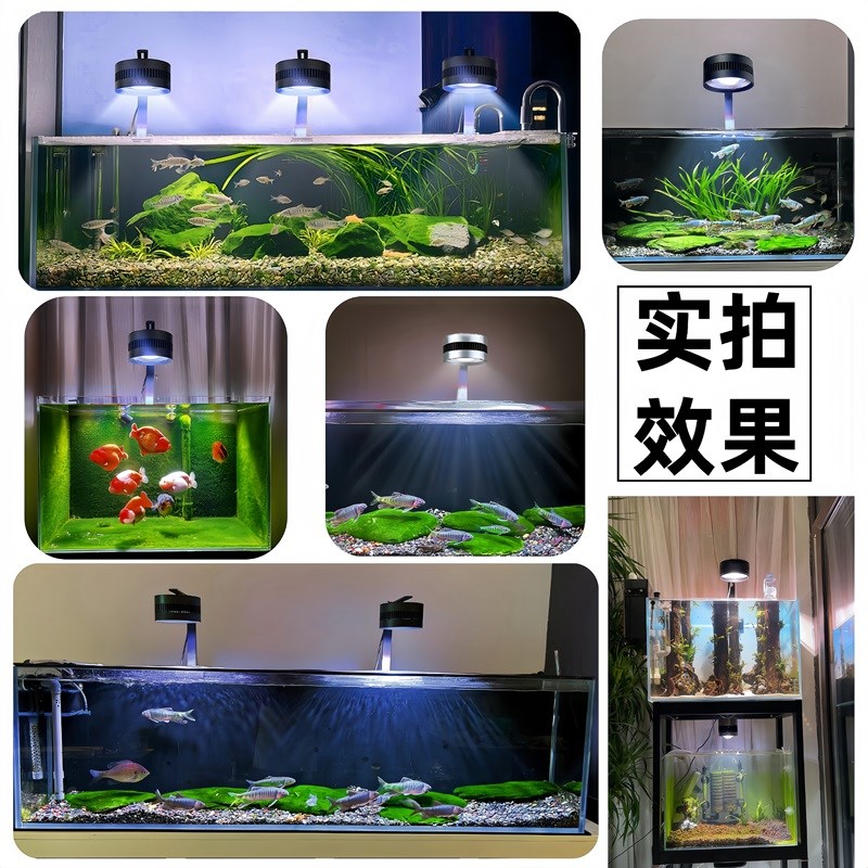 全光谱暴藻金鱼增色出绿苔鱼缸灯原生溪流造景专用灯鱼缸吊灯射灯