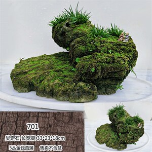 老刘石艺台湾吴定石金钱菖蒲附石盆景吸水石太湖石苔藓微景观包邮