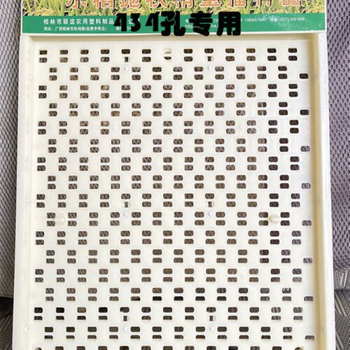 手动抛秧盘水稻育秧盘434孔抛秧盘播种器