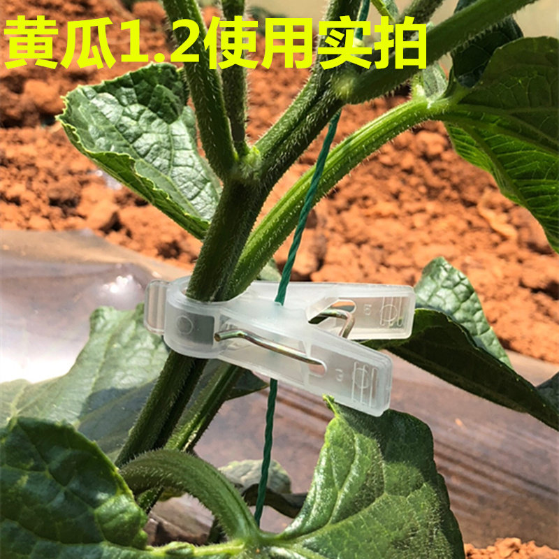 黄瓜夹子吊秧夹辣椒丝瓜吊蔓夹大棚夹子塑料加厚菜农用专用绑蔓夹