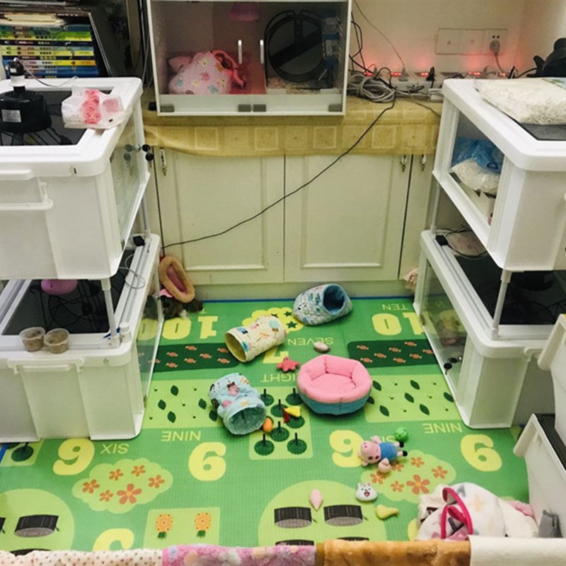 刺猬饲养箱仓鼠兔子松鼠爬虫玻璃箱子塑料笼子CM小宠物加热保温箱