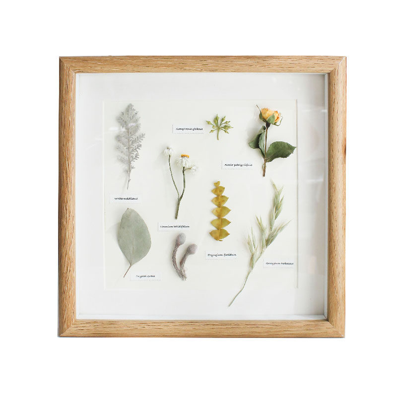 文艺植物手作标本装饰画挂画照片墙干花相框民宿家居摆件创意礼品