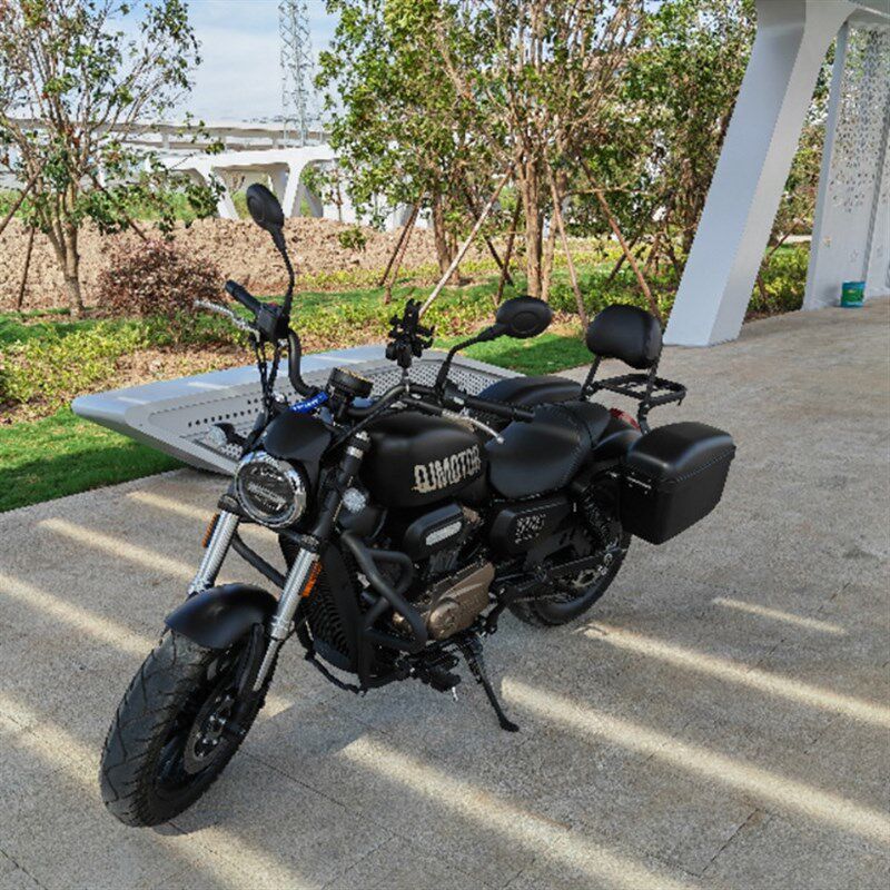 适用于钱江闪300S摩托车边箱 QJ闪500S哈雷太子车侧边挂包 后尾架