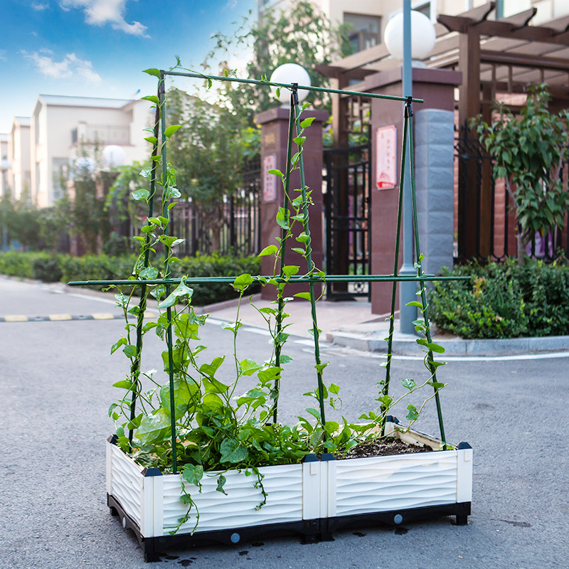 菜园蔬菜爬藤架网植物种植攀爬支架杆种菜丝瓜黄瓜豆角架园艺架子图片