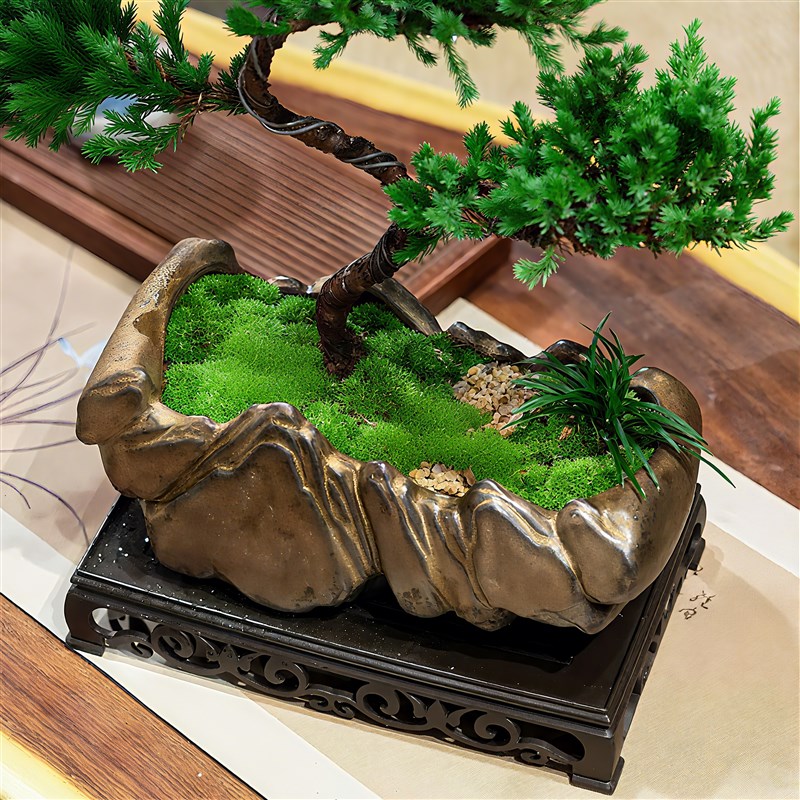 迎客松五层塔松罗汉松盆栽真树盆景摆件老桩树苗室内客厅桌面绿植