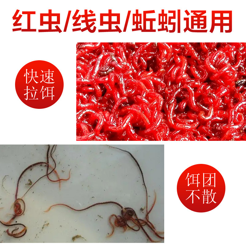手工制作红线虫强磁拉饵盘300目不锈钢网布12颗全磁不漏虫不死虫