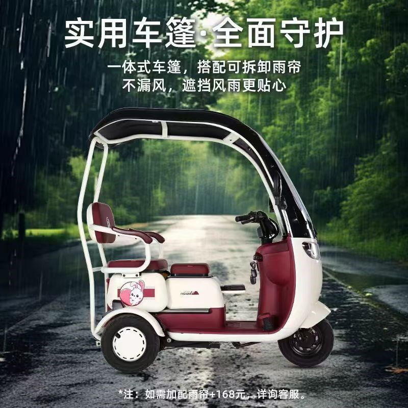 新国标电动三轮车可上牌家用小型接送孩子新款一体棚车老年三轮车