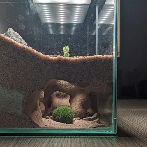 鱼缸造景蜥蜴守宫鬃狮鱼虾躲避屋创意地下洞穴直角双开口造景装饰
