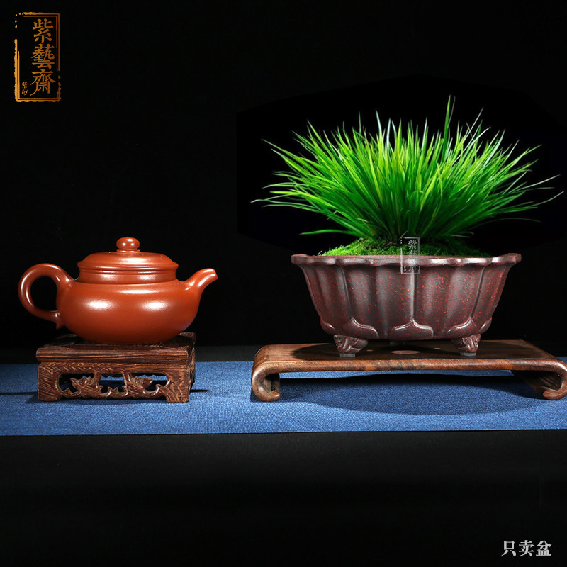 紫砂花盆宜兴精品陶瓷菖蒲多肉盆景老桩小创意带托盘简约清仓包邮