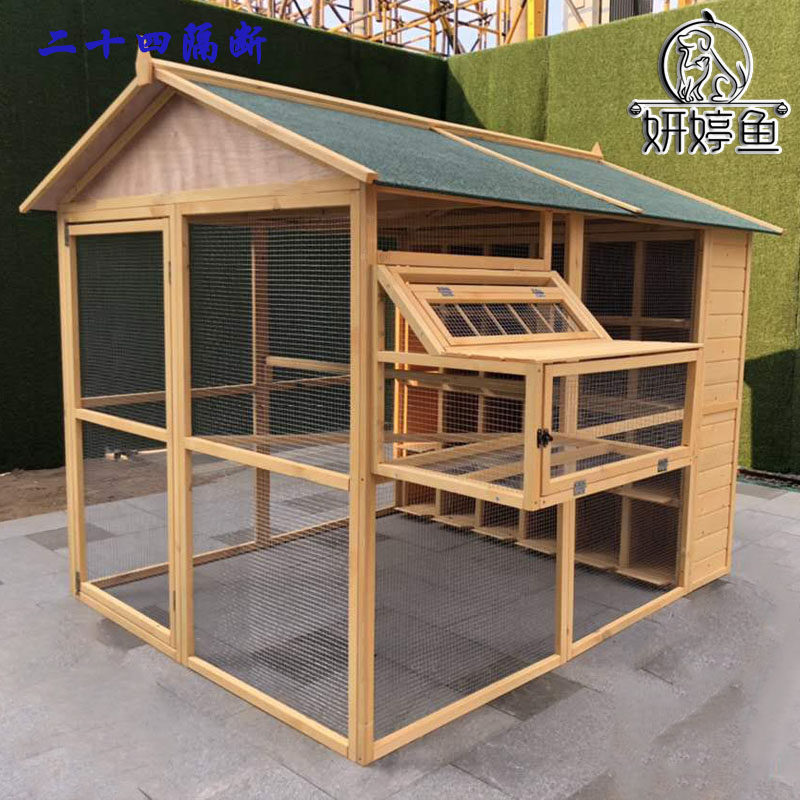户外鸽子笼鸽舍屋棚鸟笼肉鸽赛鸽配对实木防雨防腐防晒养繁殖鸽窝