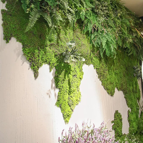 仿真苔藓青苔diy人造苔藓草坪草皮假苔藓绿植装饰造景盆景绿植物
