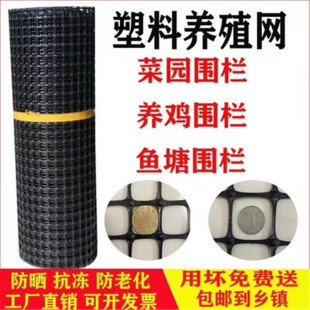 塑料围栏网鱼塘果园养殖防护菜园栅栏户外家用拦鸡圈玉米围栏胶网