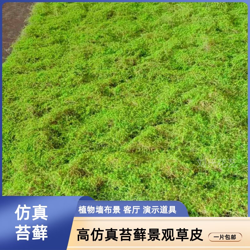 棕丝 永生 仿真黄绿苔草皮假苔藓摆件园林造景苔藓装饰墙人造草坪