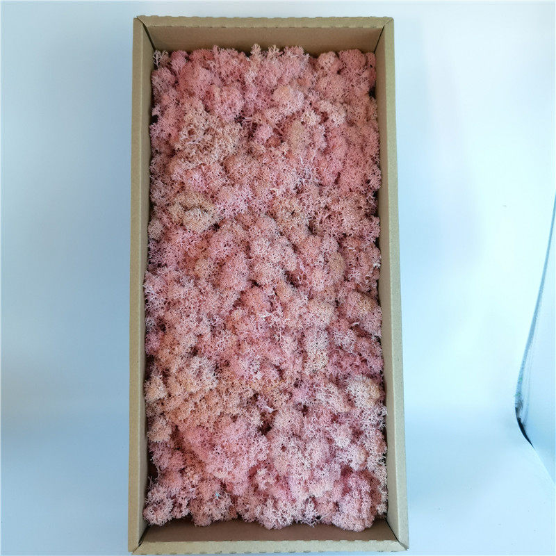 包邮永生花花材材料包diy干花装饰墙植物墙永生苔藓盒装500克