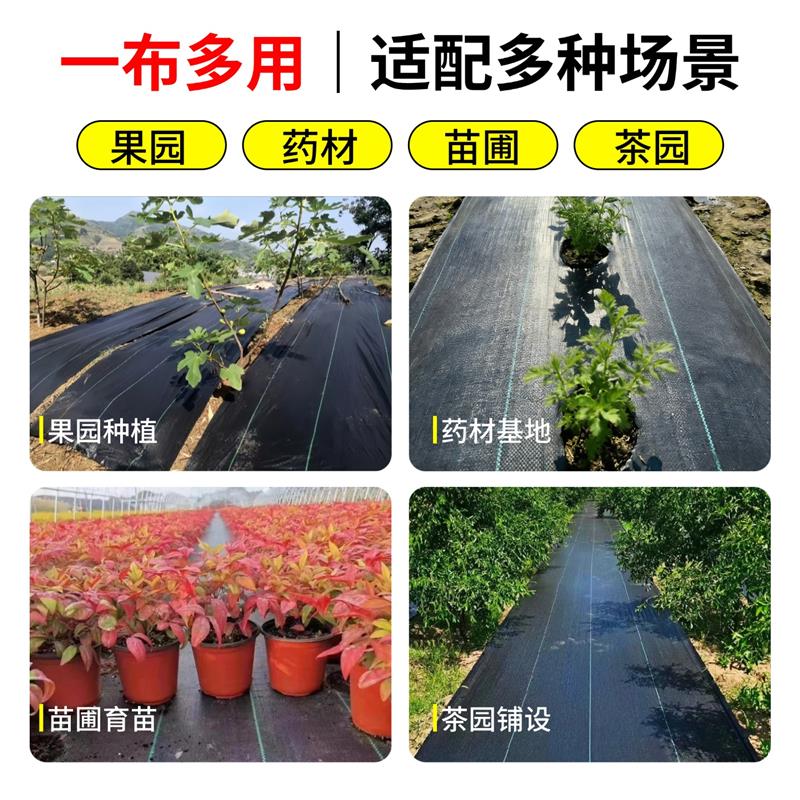 防草布除草布耐用果园果树遮草塑料布透气保湿盖草地膜抗老化地布