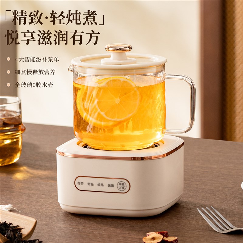 多功能煮茶养生壶办公室小型煮茶器宿舍烧水壶迷你电陶花茶玻璃壶