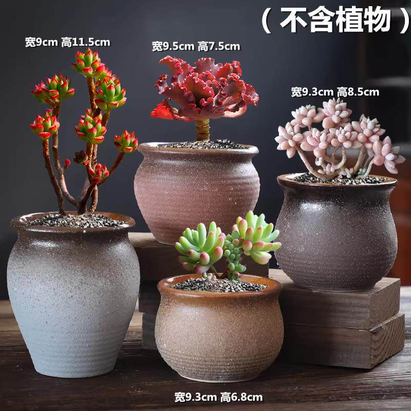 多肉花盆粗陶透气陶瓷手绘拼盘桌面复古植物套装组合创意特价清仓