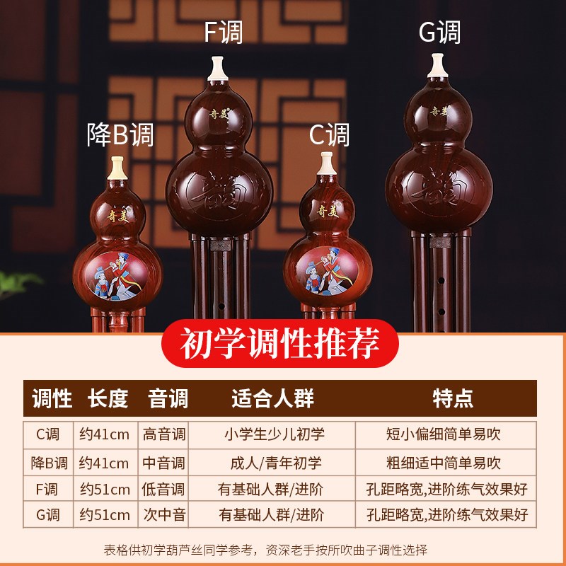 奇美葫芦丝小学生专用乐器c调初学者入门儿童降b调专业演奏型GF调