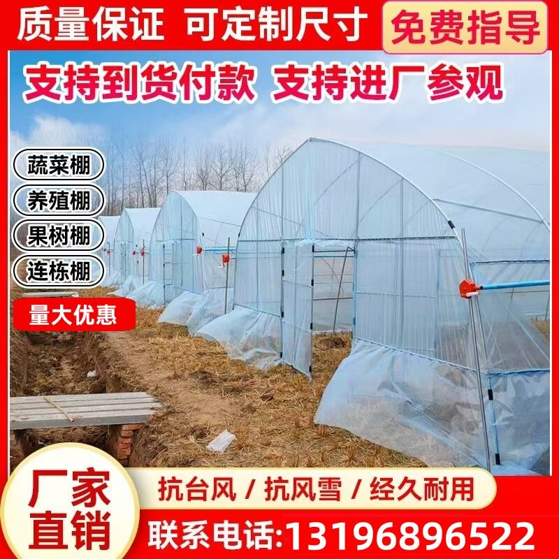 大棚钢管骨架养殖温室种植暖棚椭圆管连体大棚钢架蔬菜热镀锌全套