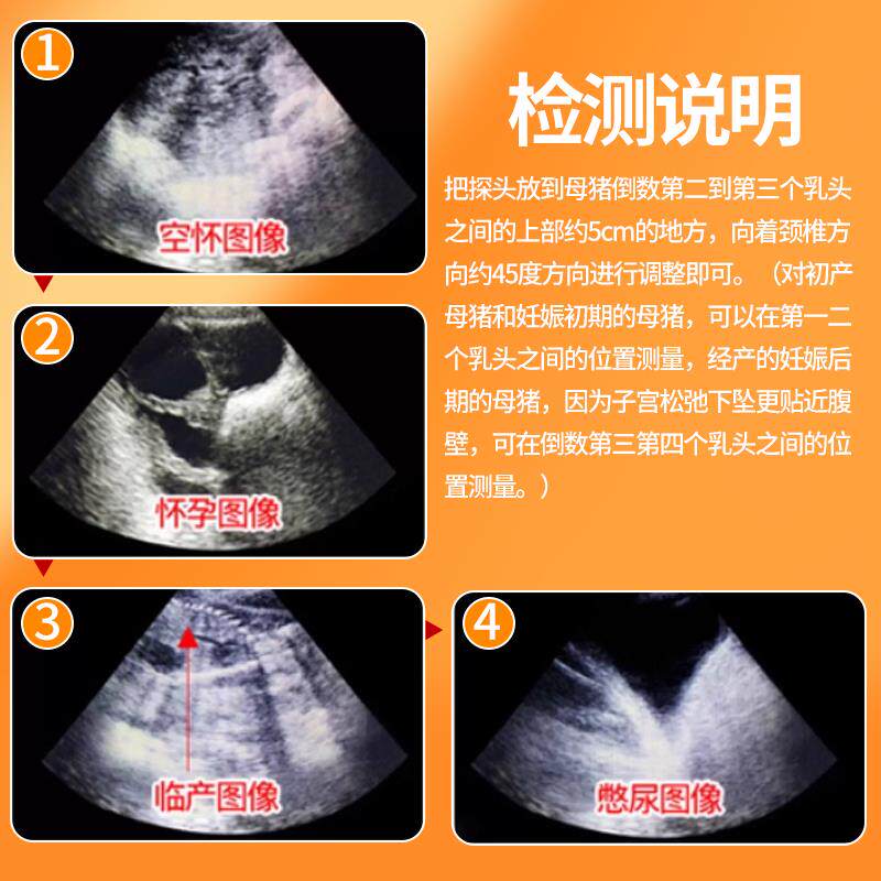 兽用高清彩色B超机便携式畜牧猪牛羊养殖犬猫超声波测孕仪大屏幕