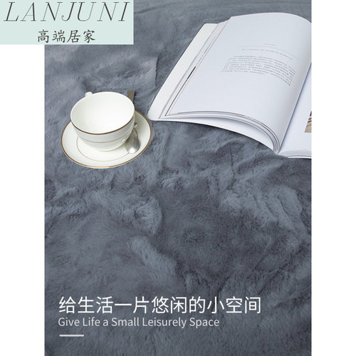 地毯卧室加厚彷兔毛地毯卧室床边毯现代简约高端网红家用地垫定制