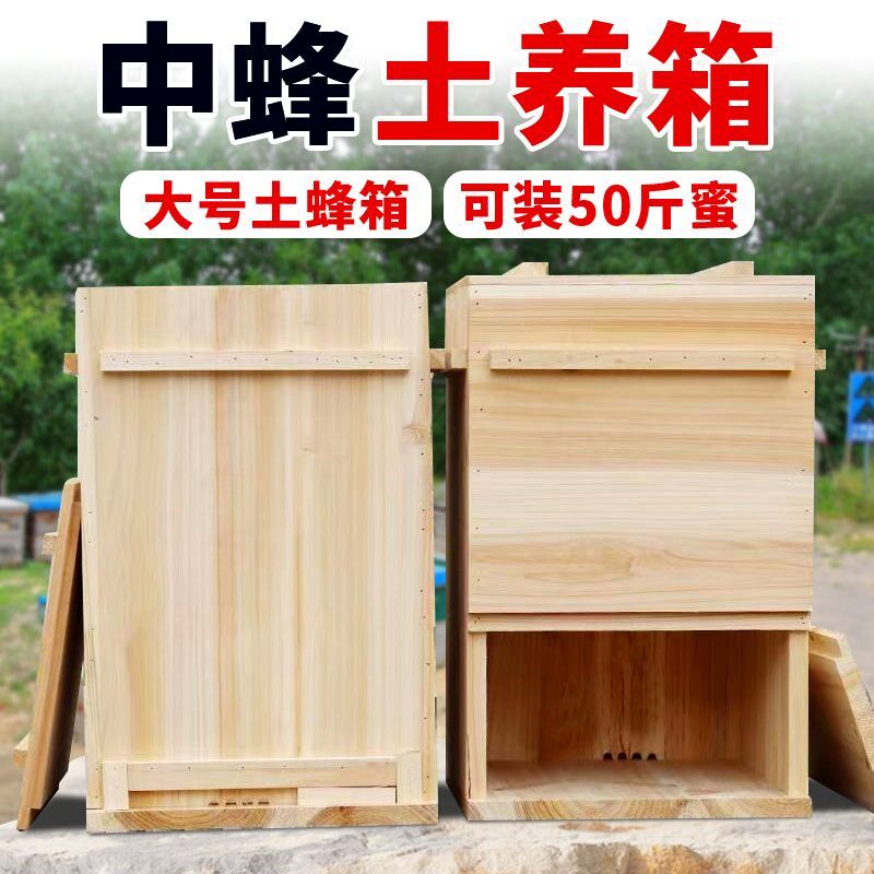 竖养老式蜂箱养蜂专用中蜂蜂箱杉木烘干诱蜂桶蜜蜂箱土养箱三峡箱