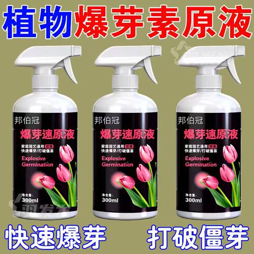 通用促芽原液改善僵苗侧芽生长