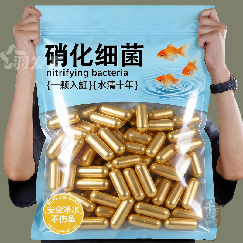鱼缸硝化细菌胶囊去除腥味水质净化打造空气缸分解鱼粪必备用品