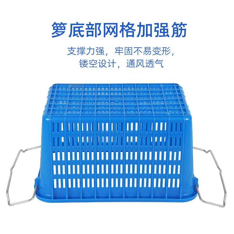 特大号塑料周转箩筐蔬菜水果框镂空长方形蓝白色快递收纳中转胶箱