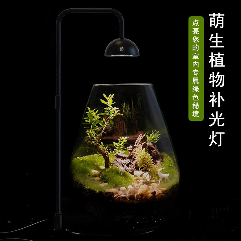 全光谱led微景观生态瓶补光灯仿太阳光苔藓灯荫生植物生长氛围灯